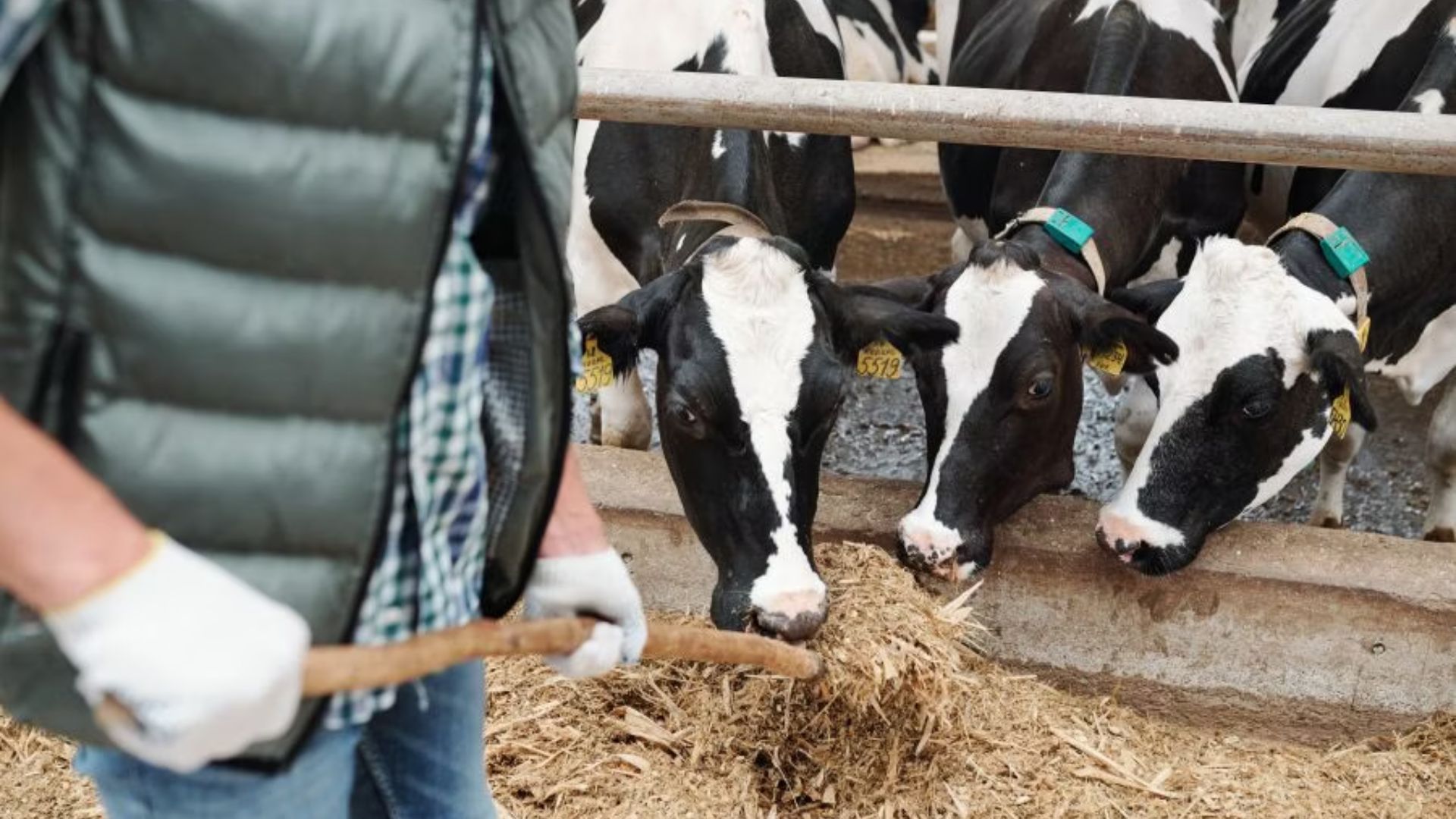 Farming and Agriculture Workers